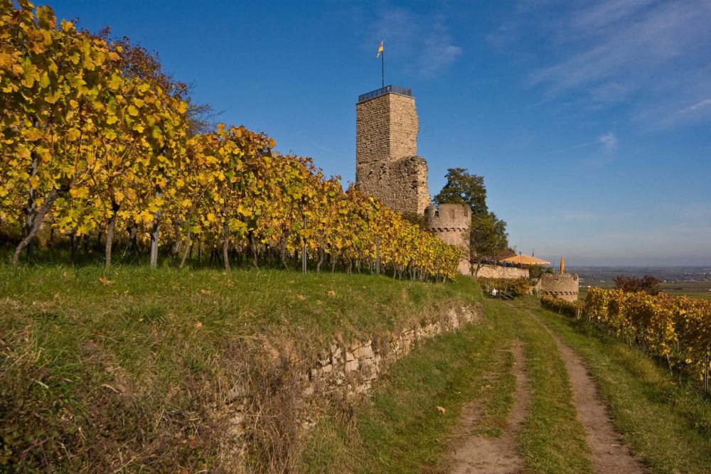 Karlbacher Domizil Großkarlbach Umgebung Wachenheim